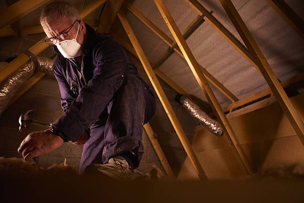 Best Commercial Insulation in Meadow Lake, NM
