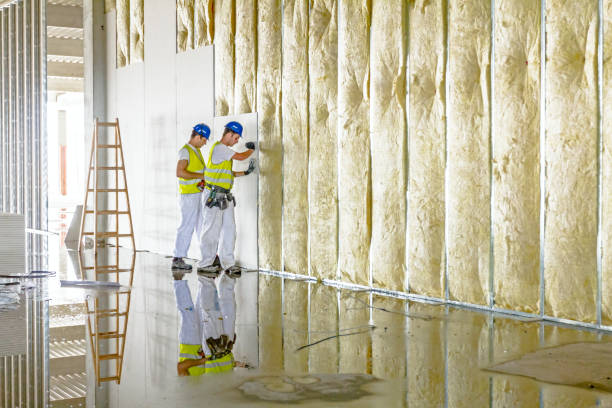 Best Blown-in Insulation in Meadow Lake, NM
